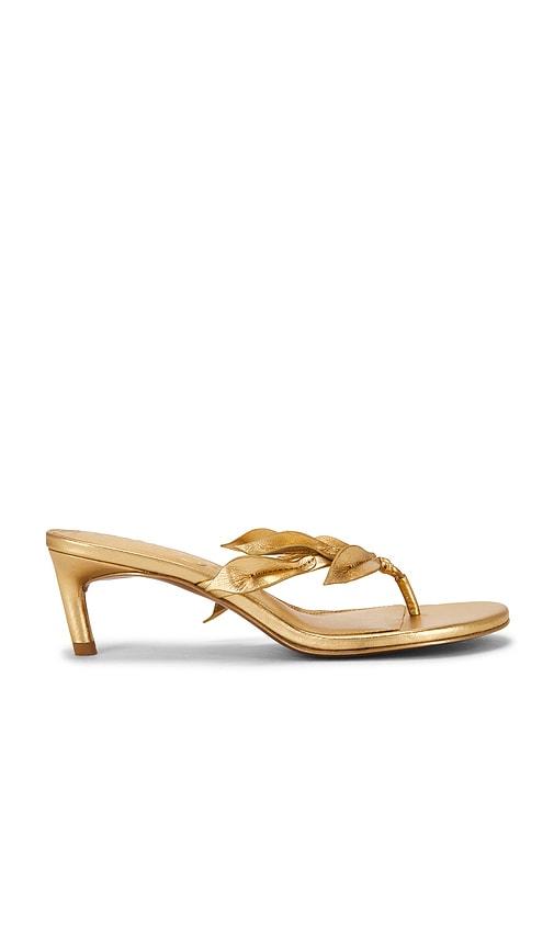 Cult Gaia Andie Sandal in Metallic Gold by CULT GAIA