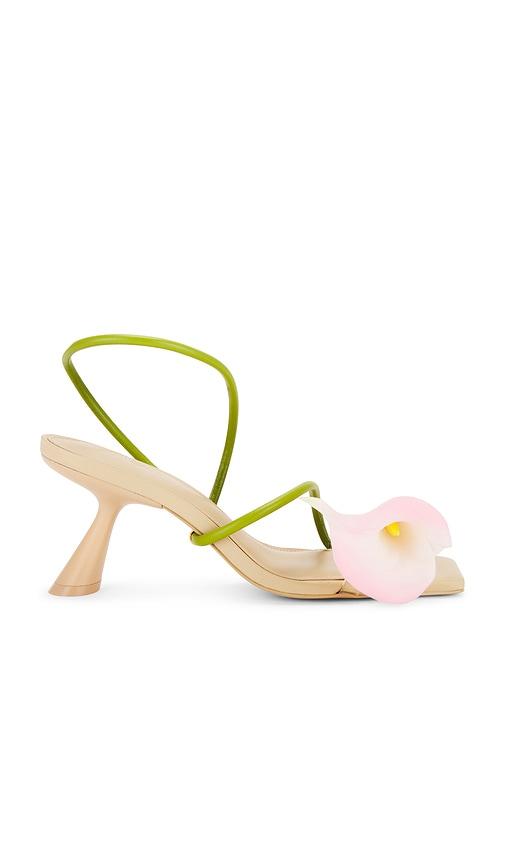Cult Gaia Ria Sandal in Cream by CULT GAIA