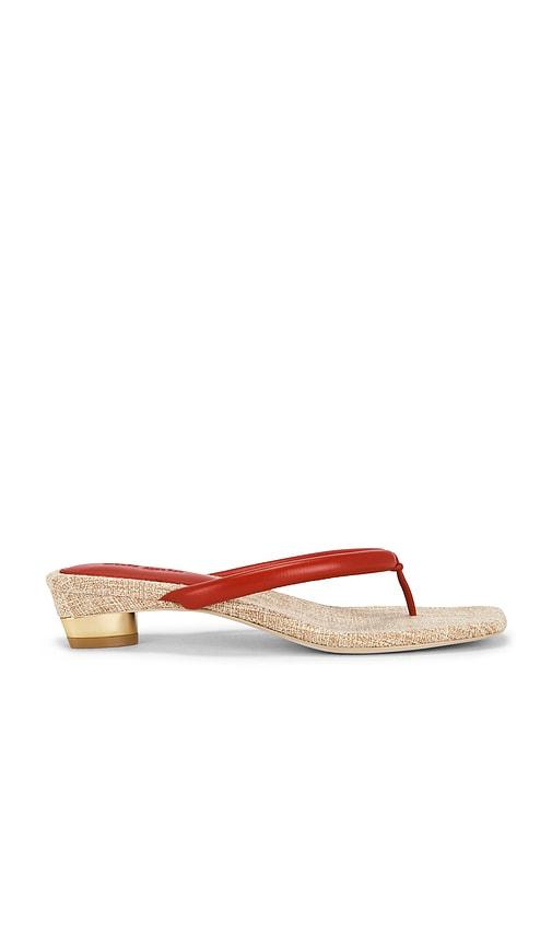 Cult Gaia Sierra Sandal in Red by CULT GAIA