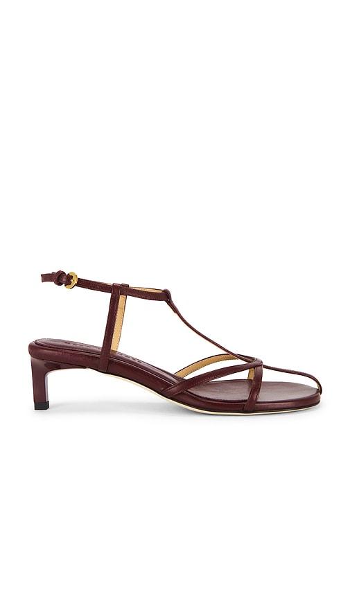 Dear Frances Tee Sandal in Burgundy by DEAR FRANCES