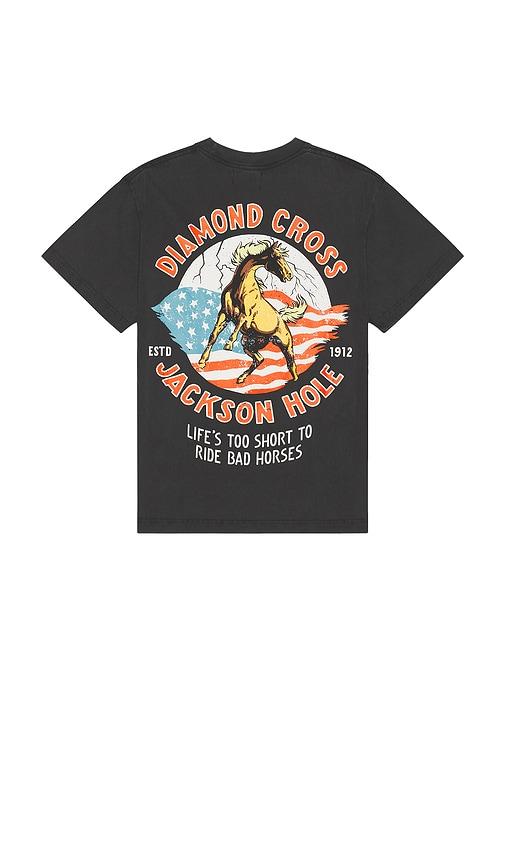 Diamond Cross Ranch American Horse in Black by DIAMOND CROSS RANCH Diamond Cross Ranch American Horse in Black by DIAMOND CROSS RANCH