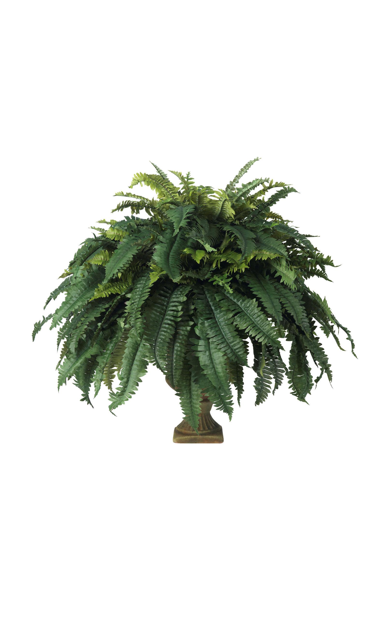 Diane James Designs - Boston Fern in Mossy Terracotta Urn - Dark Green - Moda Operandi by DIANE JAMES DESIGNS