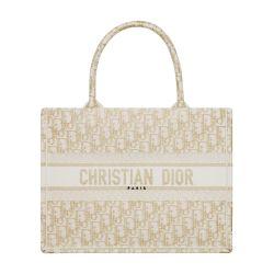 Dior Book Tote Bag by DIOR