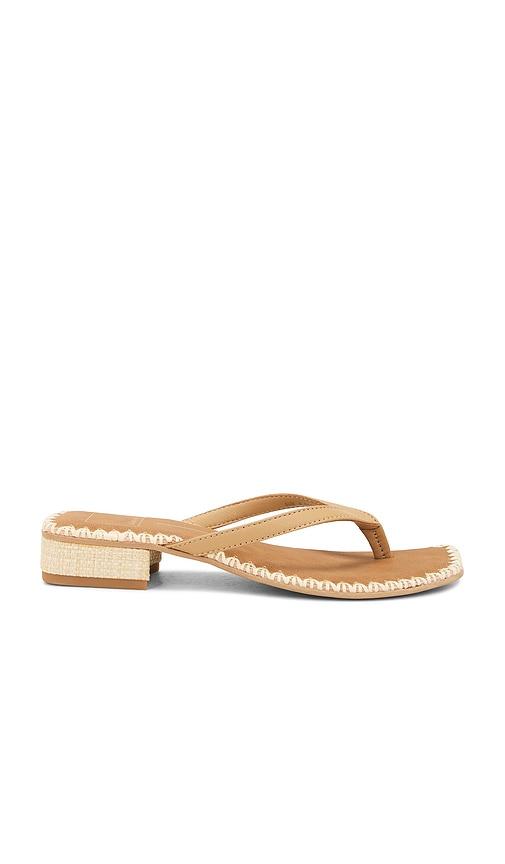 Dolce Vita Barty Sandal in Brown by DOLCE VITA
