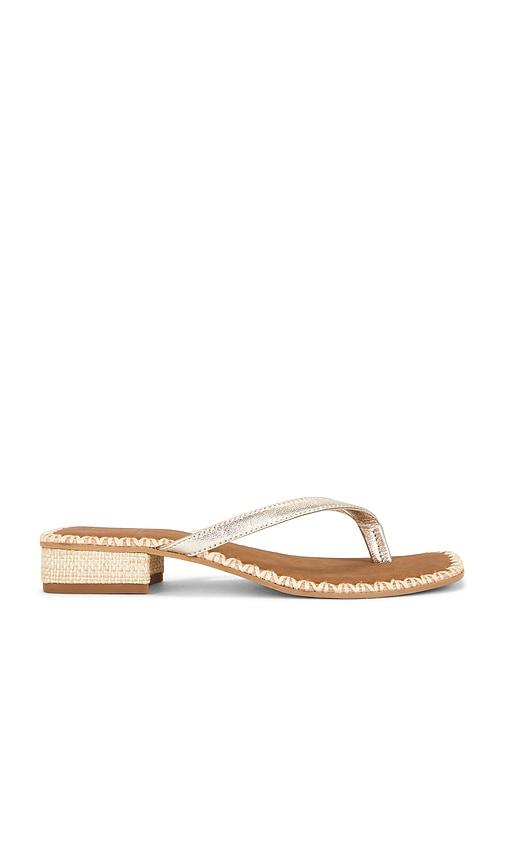Dolce Vita Barty Sandal in Metallic Gold by DOLCE VITA