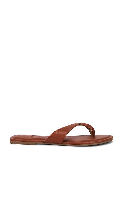 Dolce Vita Lenex Thong Sandal in Brown by DOLCE VITA