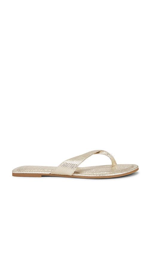 Dolce Vita Lenex Thong Sandal in Metallic Gold by DOLCE VITA