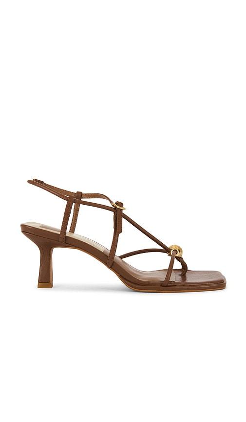 Dolce Vita Mylee Sandal in Cognac by DOLCE VITA