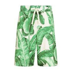 Banana-tree-print jogging shorts by DOLCE&GABBANA