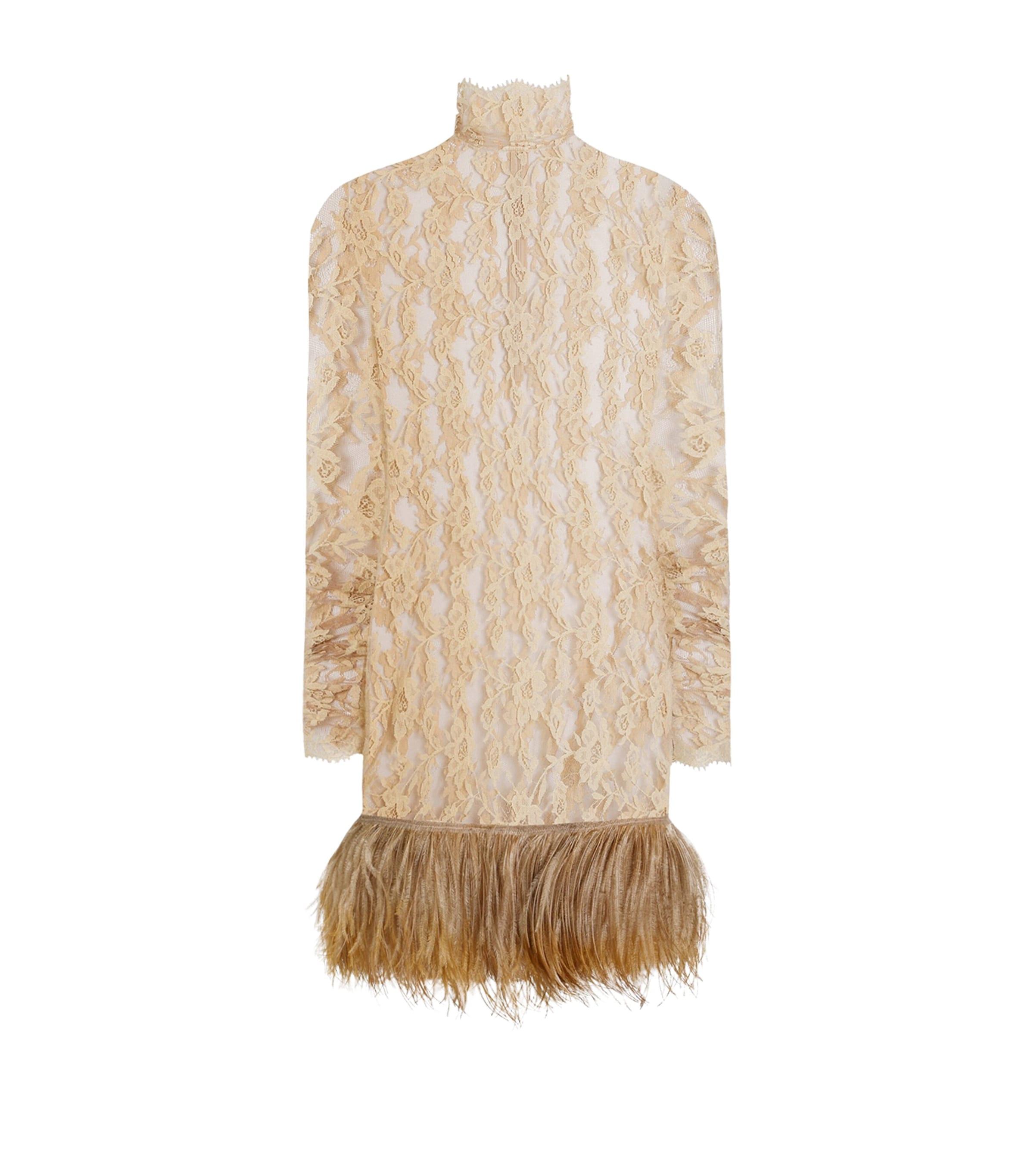 Dolce&Gabbana Lace Feather-Trim Mini Dress by DOLCE&GABBANA