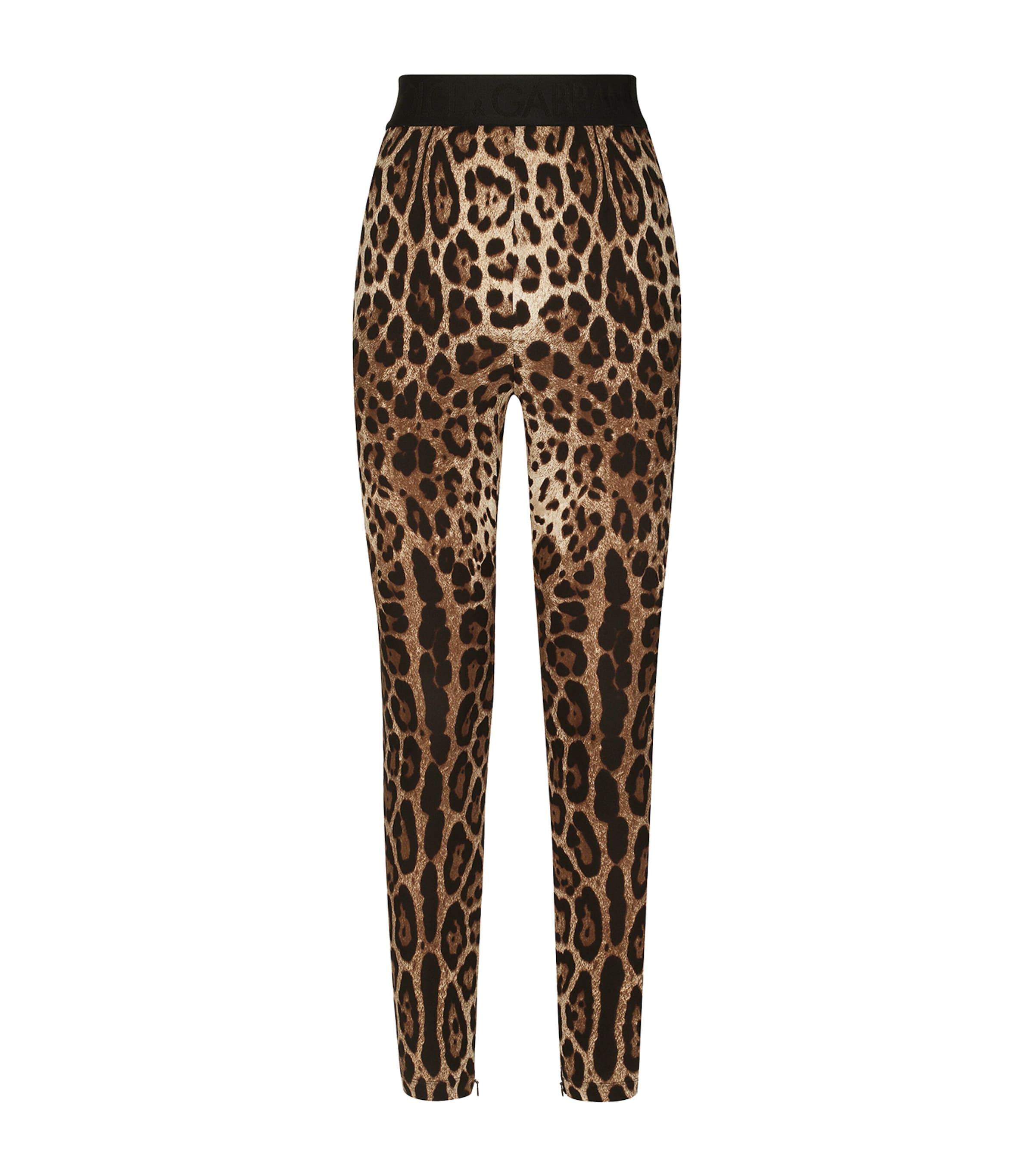 Dolce&Gabbana Leopard-Print Leggings by DOLCE&GABBANA
