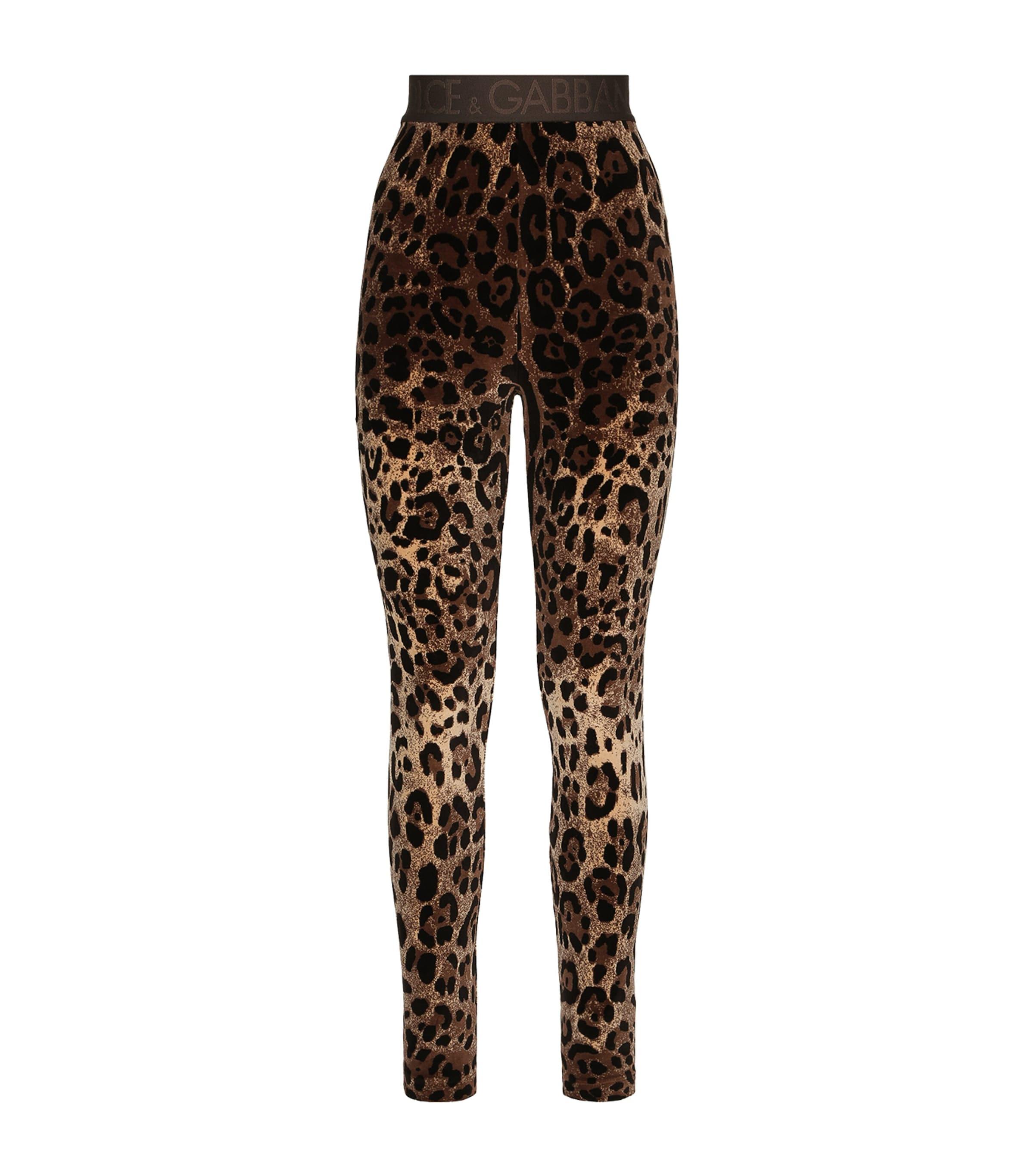 Dolce&Gabbana Velvet Leopard Print Leggings by DOLCE&GABBANA