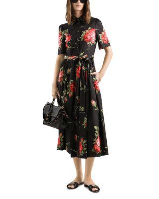 Rose Bouquet Print Poplin Shirt Dress by DOLCE&GABBANA