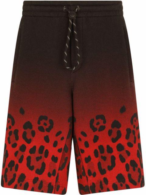 gradient leopard-print track shorts by DOLCE&GABBANA