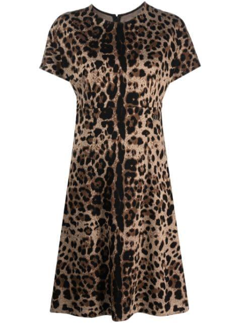 leopard-jacquard short-sleeved dress by DOLCE&GABBANA