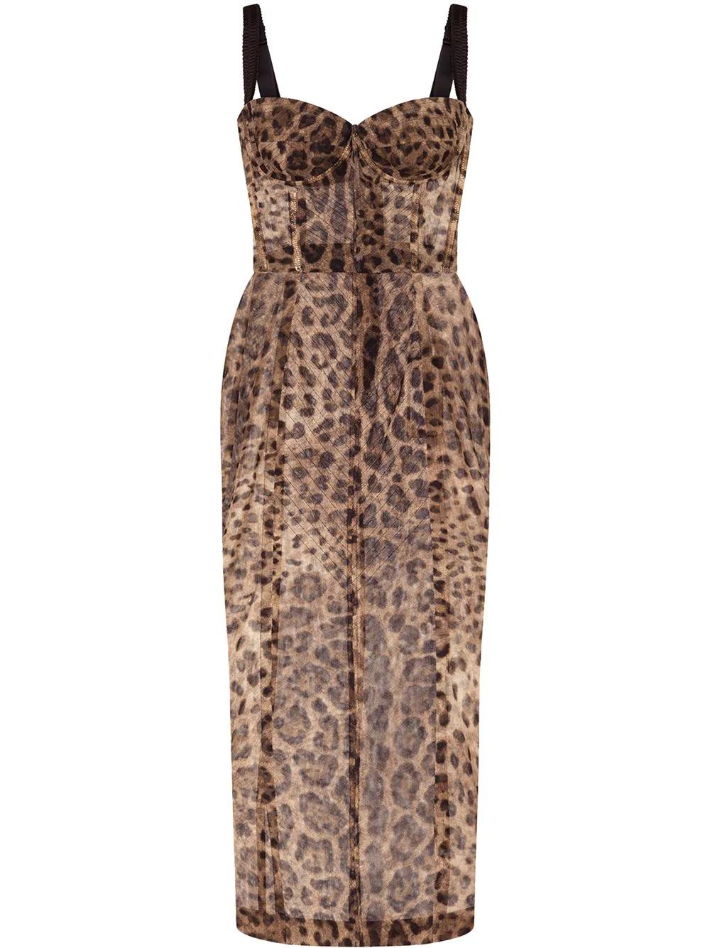 leopard-print bustier midi dress by DOLCE&GABBANA