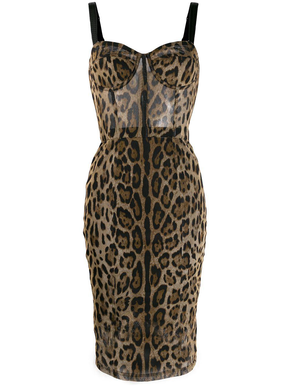 leopard-print bustier midi dress by DOLCE&GABBANA