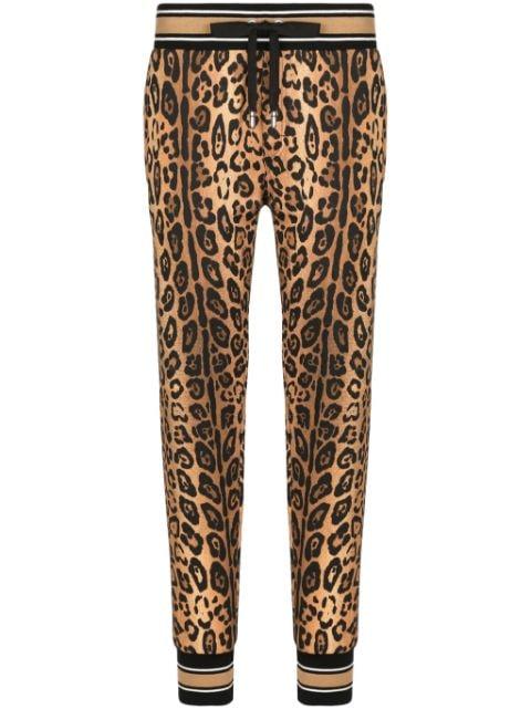 leopard-print cotton track pants by DOLCE&GABBANA