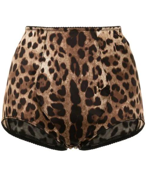 leopard-print high-waisted briefs by DOLCE&GABBANA