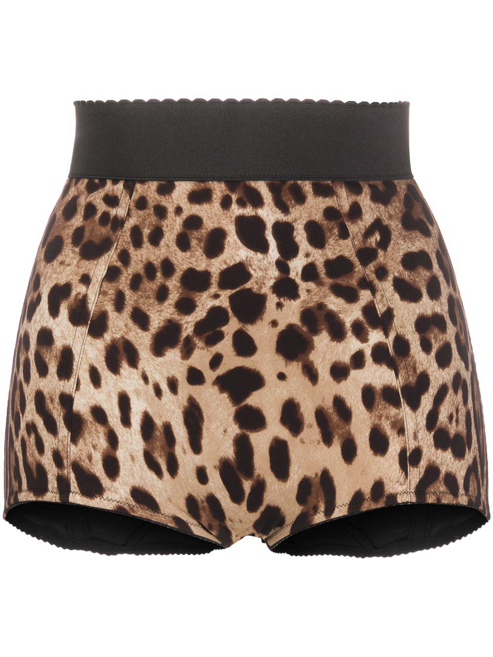 leopard-print high-waisted briefs by DOLCE&GABBANA