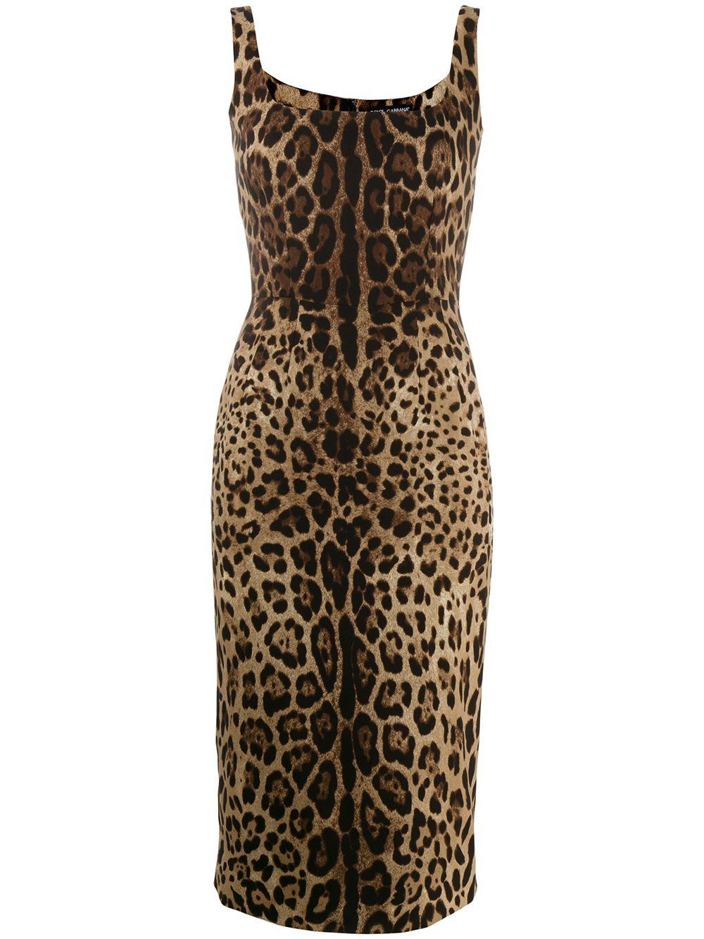 leopard-print midi dress by DOLCE&GABBANA