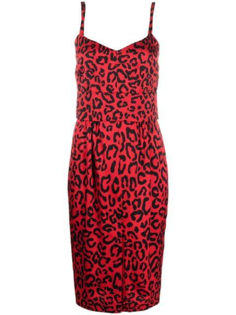 leopard-print midi dress by DOLCE&GABBANA