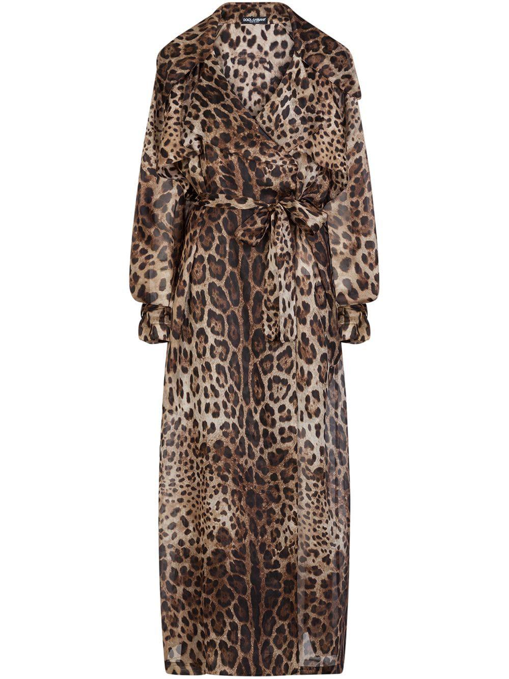 leopard-print organza trench coat by DOLCE&GABBANA