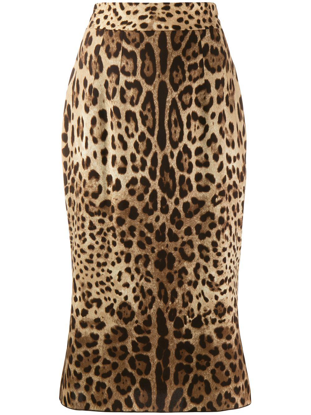 leopard-print pencil skirt by DOLCE&GABBANA