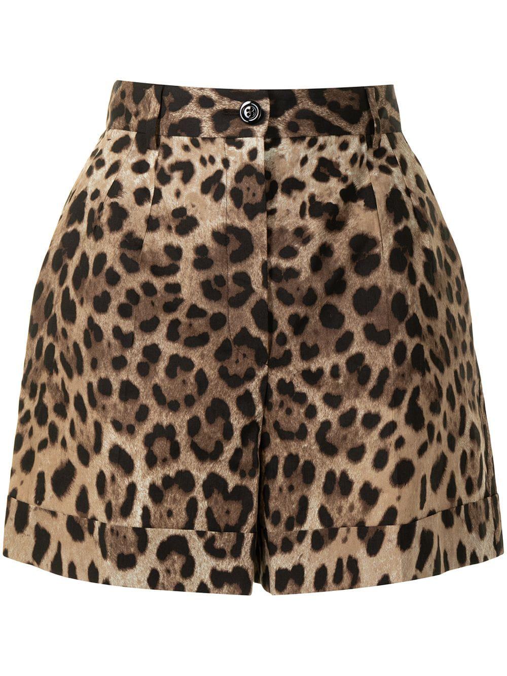 leopard-print tailored shorts by DOLCE&GABBANA