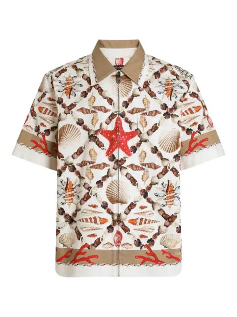 shell-print Hawaii shirt by DOLCE&GABBANA