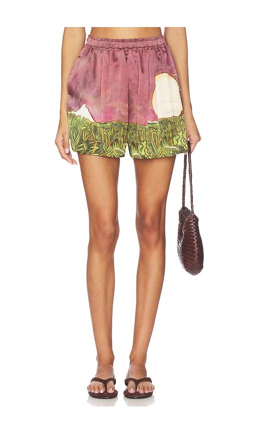 Donde Esteban La Sierra Silk Shorts in Wine by DONDE ESTEBAN
