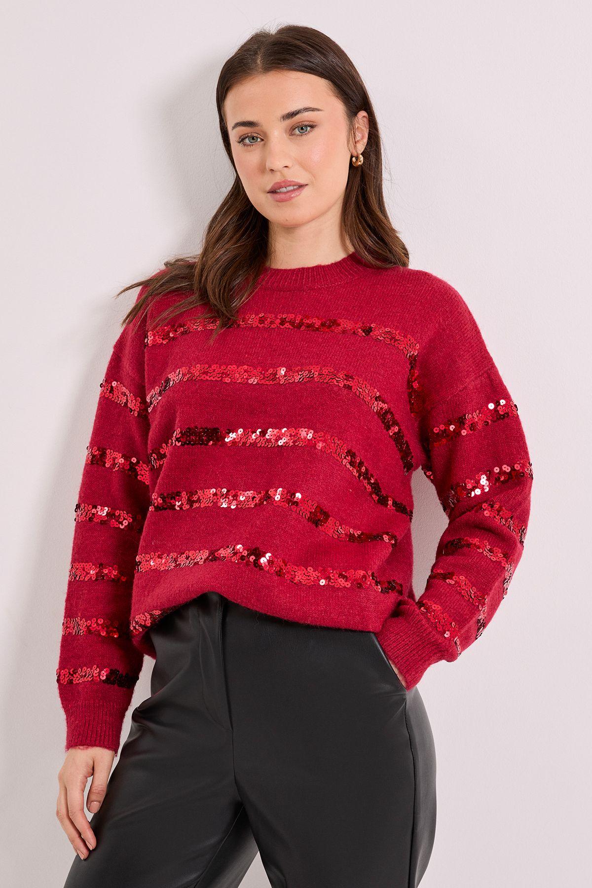 Cranberry Sequin Stripe Jumper by DOROTHY PERKINS