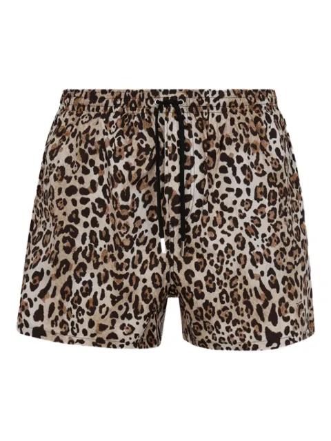 Wild2 swim shorts by DSQUARED2