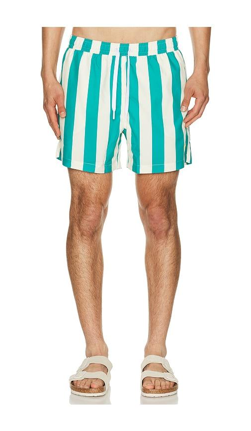 Duvin Design Travel Swim Shorts in Cream,Green by DUVIN DESIGN