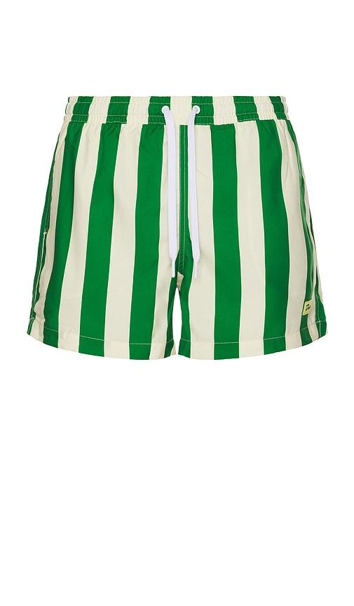 Duvin Design Traveler Swim Shorts in Green by DUVIN DESIGN