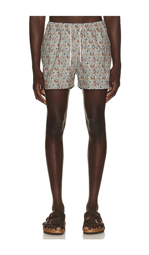 Edmmond Studios Wildlife Swim Shorts in Brown by EDMMOND STUDIOS