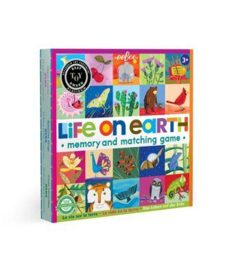 Life on Earth Memory & Matching Game by EEBOO