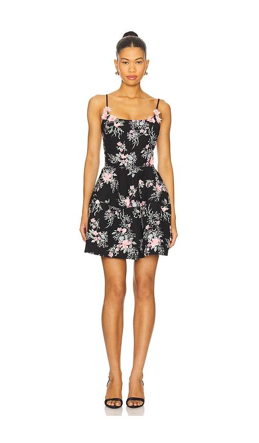ELLIATT Gaia Mini Dress in Black by ELLIATT