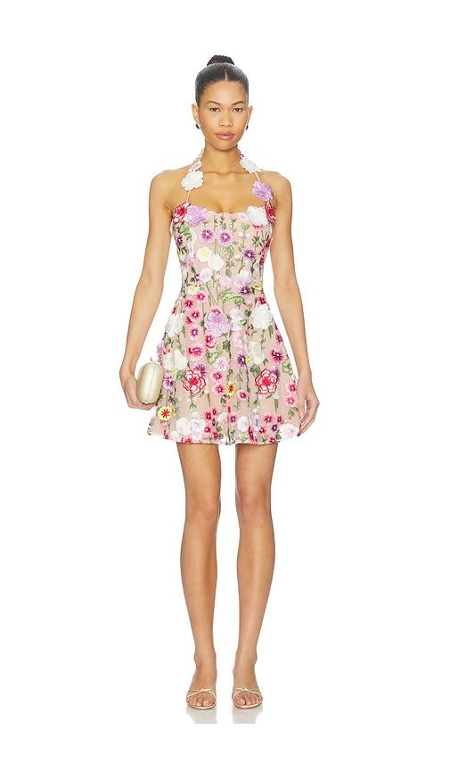 ELLIATT Neve A Line Mini Dress in Pink by ELLIATT