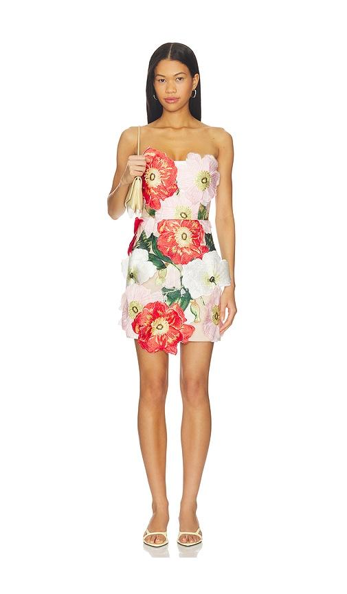ELLIATT Solara Mini Dress in Pink,Red by ELLIATT