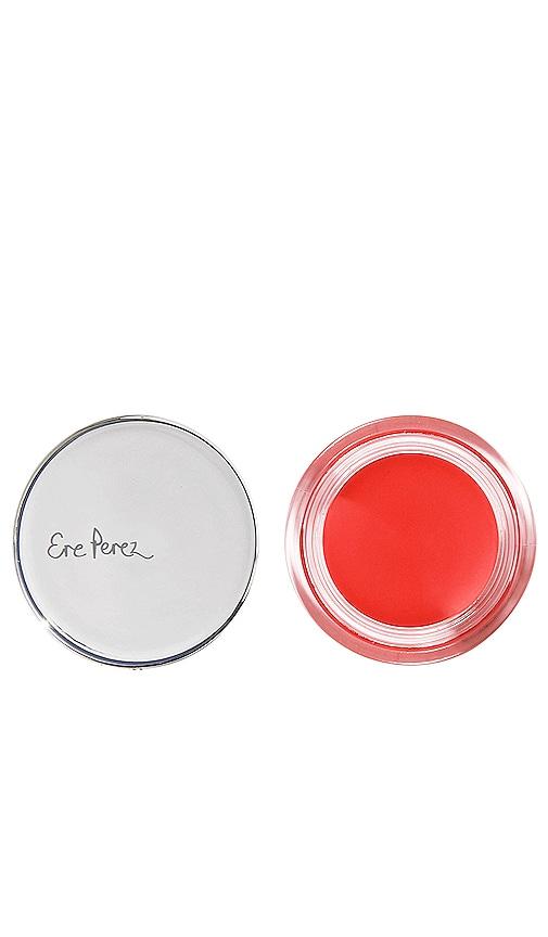 Ere Perez Carrot Colour Pot in Hello by ERE PEREZ