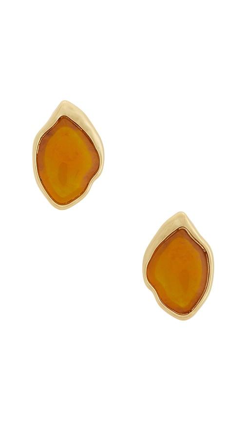 Ettika Molten Treasure Stud Earrings in Metallic Gold by ETTIKA