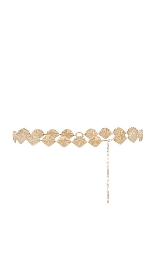 Ettika Shell Belly Chain in Metallic Gold by ETTIKA