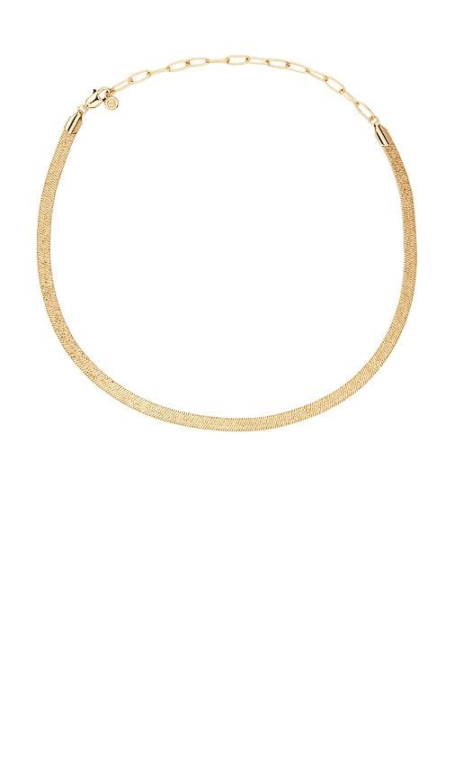Ettika Textured Flat Chain Necklace in Metallic Gold by ETTIKA