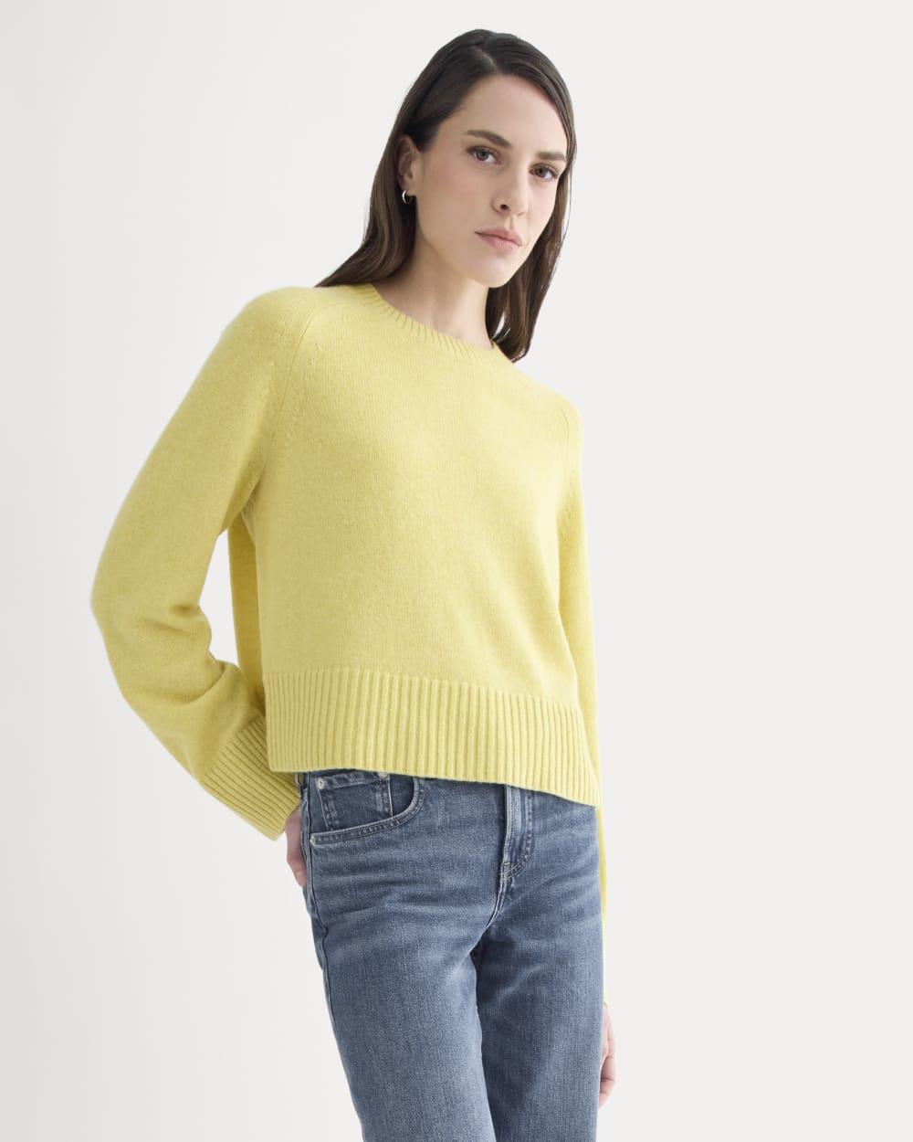 The Boxy Crew in Cashmere | Double Cream Heather by EVERLANE