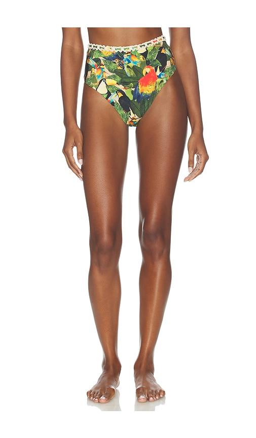 FARM Rio Bird Leaves High Waist Bikini Bottom in Green by FARM RIO