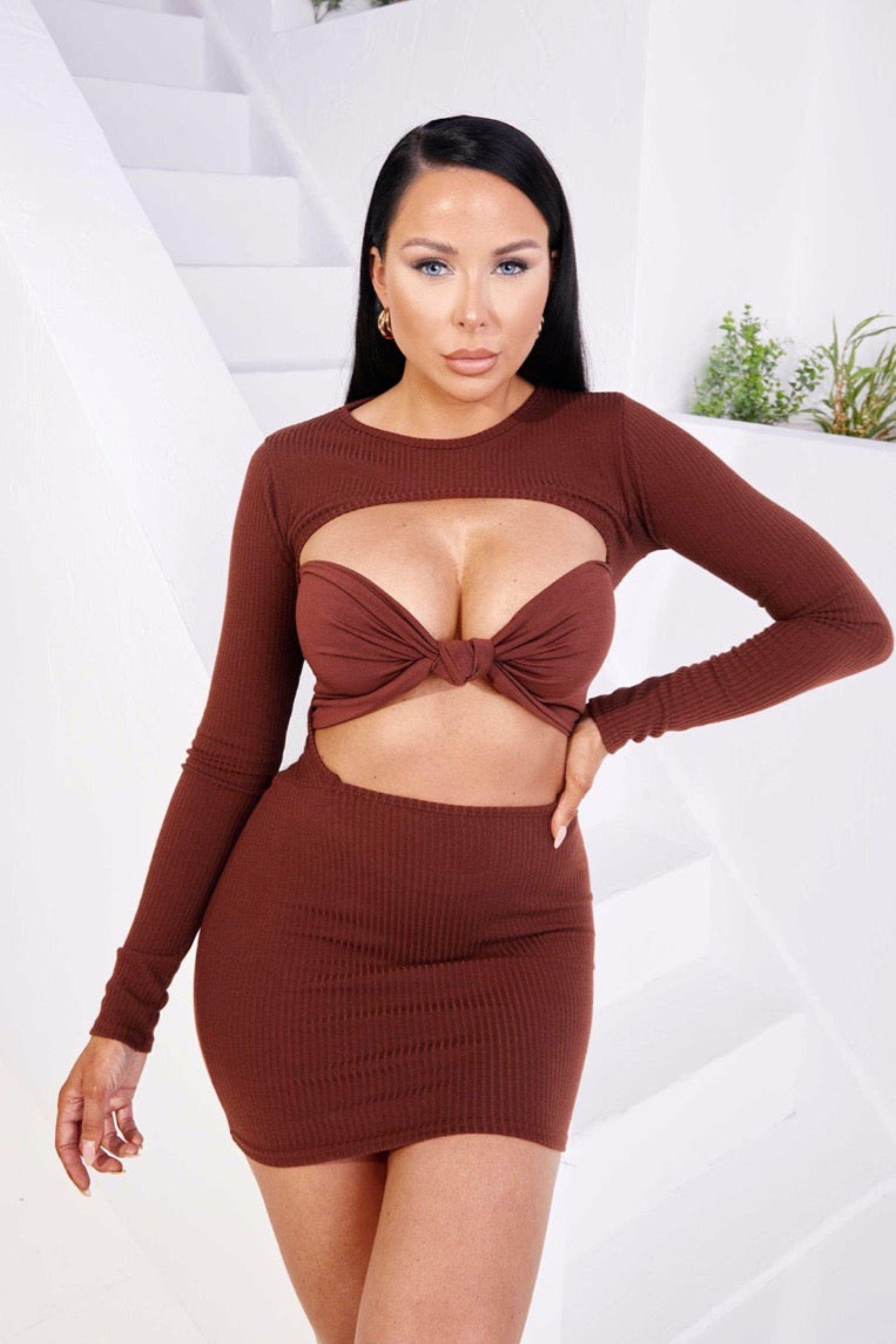 Rib High Neck Long Sleeve Bodycon Mini Dress by FEMME LUXE