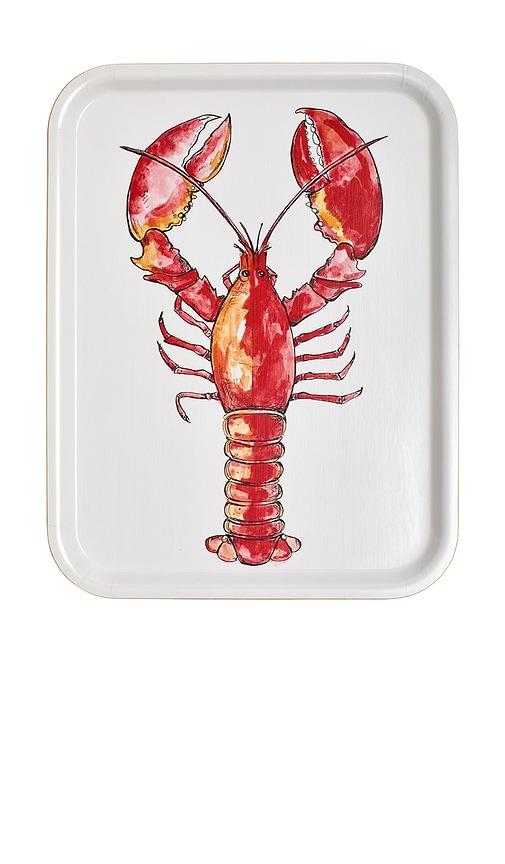 Fish's Eddy Shelly Lobster Tray in White by FISH'S EDDY