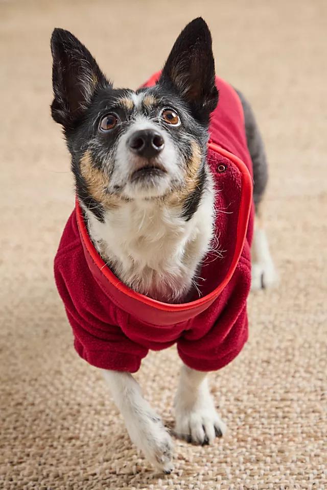 Hit The Slopes Pet Jacket by FOUND MY ANIMAL | F P MOVEMENT