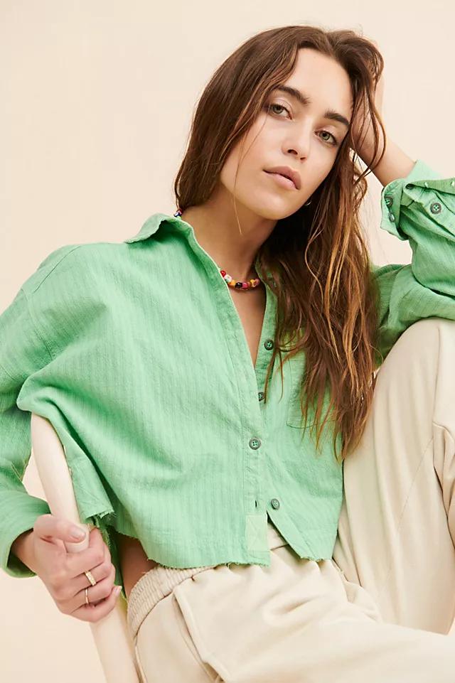 Chrissy Crop Oxford Top by FREE PEOPLE